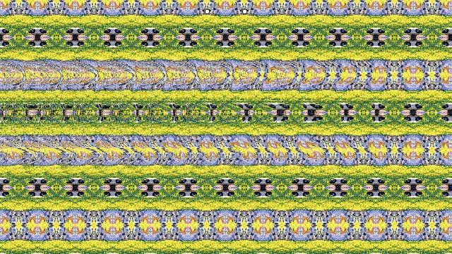 Stereogram: Love in the Park